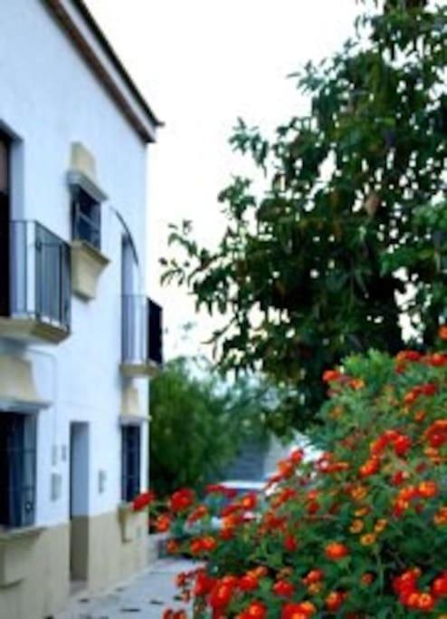 Вилла Eagles Nest - Massive Townhouse With Pool With Outstanding Views Альгодоналес Экстерьер фото
